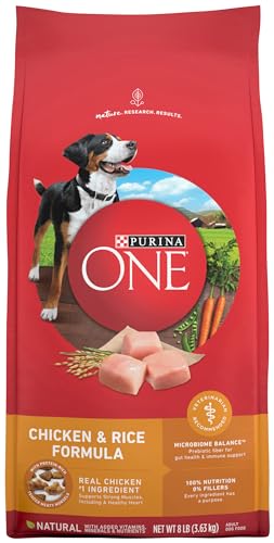 Purina ONE Smartblend Chicken and Rice, Dog Food, 8 lb
