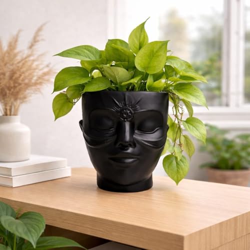 Image of Ceramic Lady Face Wall Hanging Planter | 17.5 x 13.5 cm Abstract Face Vase for Indoor Wall, Living Room, Balcony & Home Decor (Nigro Face)