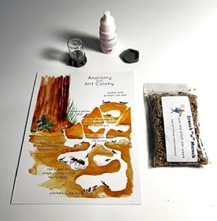 Generic Premium Ant Farm Food, includes dandelion, wheat grass, flax, and chia seeds plus watering tower and seed dish along with ant Quench drink and ant colony infographic.