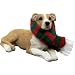 Sandicast Fawn Pit Bull Terrier with Red and Green Scarf Christmas Ornament