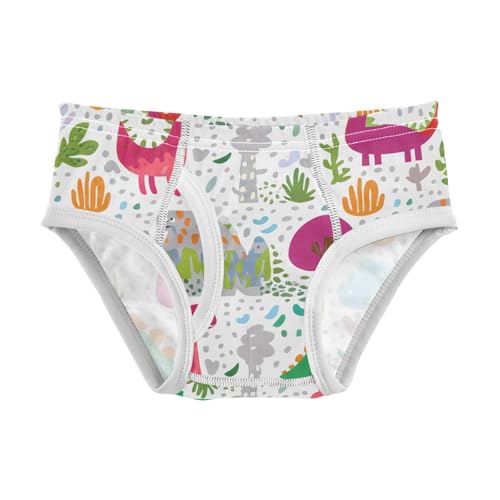 Colorful Cartoon Dinosaurs Toddler Boy's Underwear 2T 202c1196