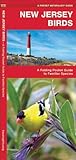 New Jersey Birds: A Folding Pocket Guide to Familiar Species (Pocket Naturalist Guide Series) by James Kavanagh (2000-10-01)