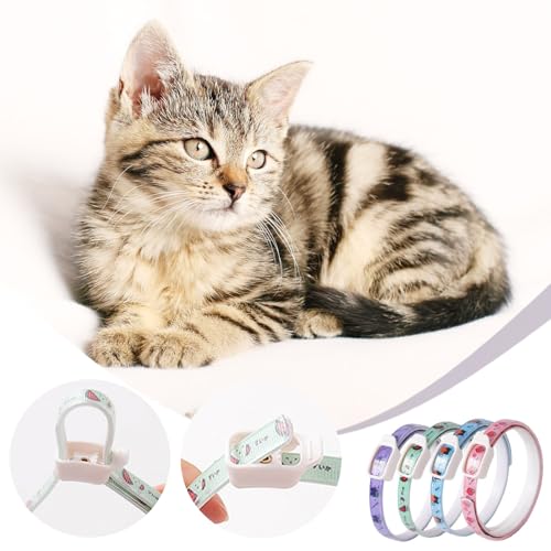 Langzeit Floh & Zeckenschutz Halsband für Hunde - Natürliches Insektenabwehrhalsband, Schützt effektiv gegen Flöhe, Zecken, Milben & Parasiten (Grün, 6x6x1cm)