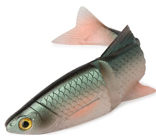 1 pezzo Esca da pesca ChatterBa con lama in metallo e