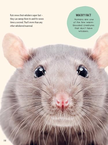 Britannica First Big Book Of Why