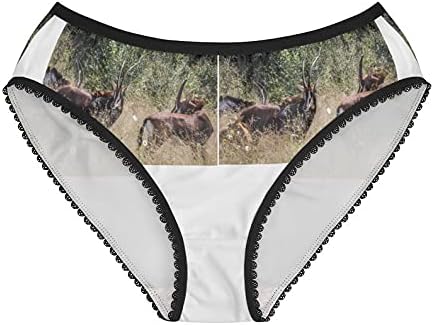 Sable Antelopes In Hwange Panties, Sable Antelopes In Hwange Underwear, Briefs, Cotton Briefs, Underwear, Panties For Women
