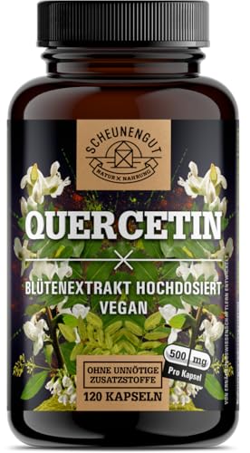 Quercetin Hochdosiert -WICHTIG: 25:1 Extrakt (12500mg reiner japanischer Schnurbaum je Kapsel) I Quercetin 500mg -Laborgeprüft und Vegan- DE SCHEUNENGUT®