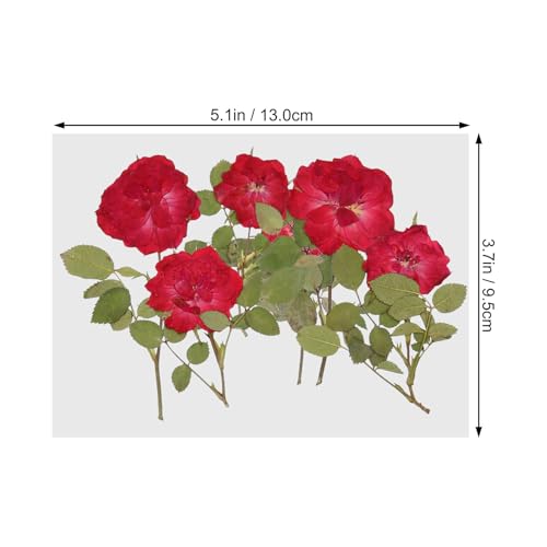 Set de flores secas para manualidades DIY FUOYLOO miniatura 2
