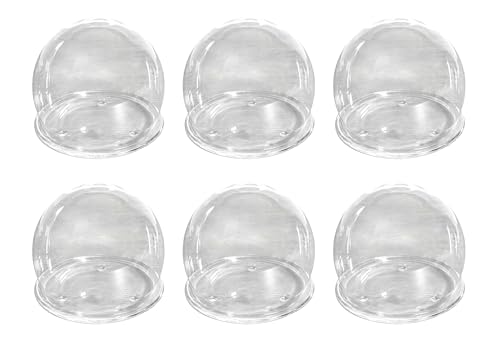 OXXNGA Cɓ̕i KX̃Eh h[ Mt(16cm) 6Zbg