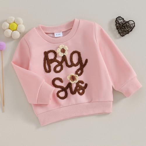 Baby Girl Sister Matching Outfit Long Sleeve Letter Print Crewneck Sweatshirt Pullover Sweater Fall Winter Clothes2