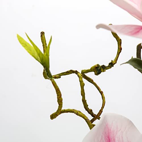 Oairse Artificial Magnolia Flower in Vase Real Touch Fake Flower in Glass Vase with Faux Water Pink Silk Flowers Faux Magnolias Flora Arrangement for Home Office Wedding Table Centerpiece Decoration - Image 3
