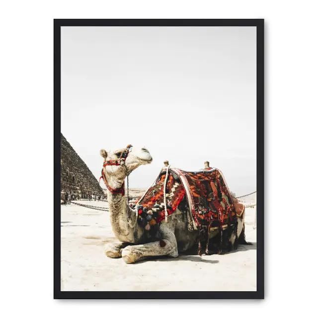Cuadro camel in egypt i Tableau décoratif sur toile de chameau égyptien
