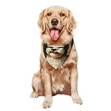 bobtail caractère Matière : Le gilet et l'écharpe pour animaux sont tous deux fabriqués en polyester, une matière confortable, respirante, douce et respectueuse de la peau