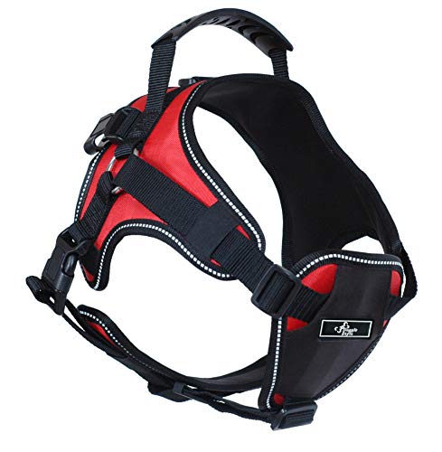 Doggie Stylz Multi-Functional Full-Body Lifting Dog Harness Vest, Designed For Front-Only, Rear-Only Or Full-Body Dog Lifting #TOP2
