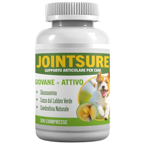JOINTSURE Giovane & Attivo Integratori per le Articolazioni di Cani e Cuccioli Aiuta la Rigidità Articolare - Alti Livelli di Glucosamina & Cozza dai Bordi Verdi - Pacco da 300 Compresse