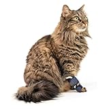 Adjustable Cat Leg Brace with Removable Aluminum Splint – Stabilizes Carpal/Tarsal Hyperextension, Fractures & Sprains – Soft Breathable Support for Front or Hind Legs (Black,XS)