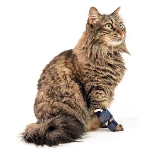 Adjustable Cat Leg Brace with Removable Aluminum Splint – Stabilizes Carpal/Tarsal Hyperextension, Fractures & Sprains – Soft Breathable Support for Front or Hind Legs (Black,XS)