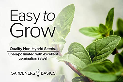 Gardeners Basics, Oregano Seeds for Planting Heirloom Non-GMO Herb Plant Seeds for Home Herb Garden Makes a Great Gift for Gardening