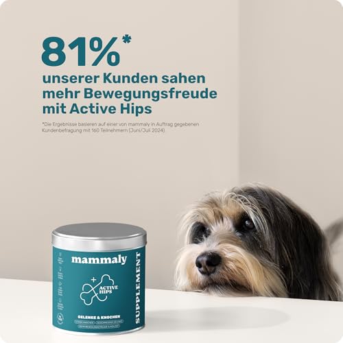 11- in- 1 Grünlippmuschel Hund Gelenktabletten- Active Hips 60 Leckerli (175g) von mammaly- Gelenk- & Knochenschutz für Hunde- Praktische Alternative zu Kapseln & Grünlippmuschelpulver für S-6