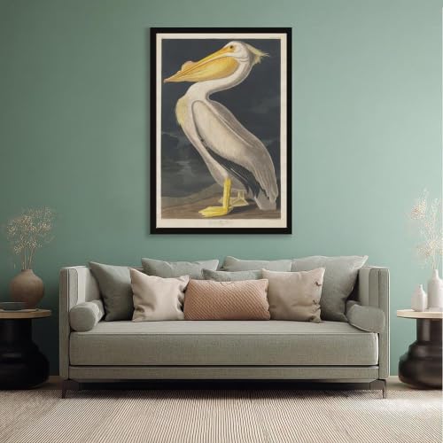 Impression sur toile pélican blanc américain solution déco pour petits murs vides