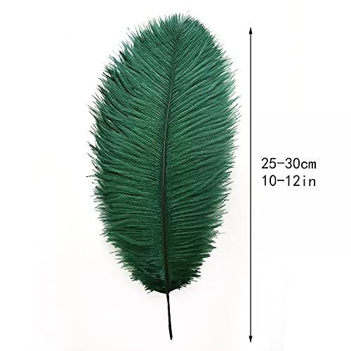 image for Ballinger Blackish Green Ostrich Feathers Bulk- 24pcs 10-12inch for We