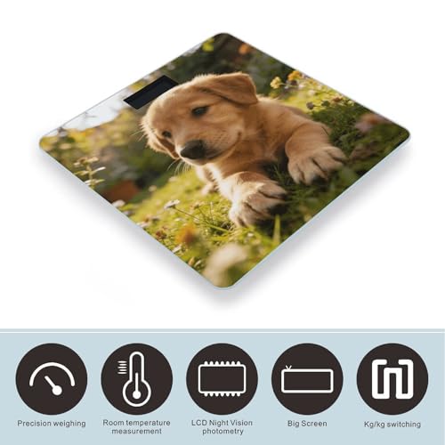 Báscula Digital de Baño con Plataforma de Vidrio Templado miniatura 3