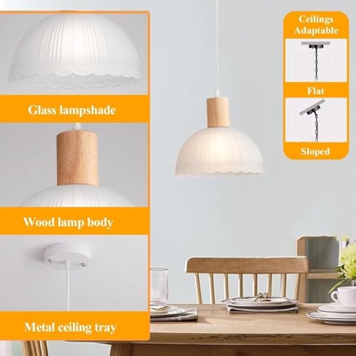 Lámpara colgante pequeña de vidrio para iluminar mesas de comedor y barras de cocina 8