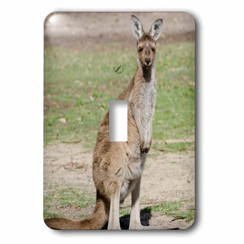 Interrupteur à bascule simple Australie Perth avec décor de kangourou gris