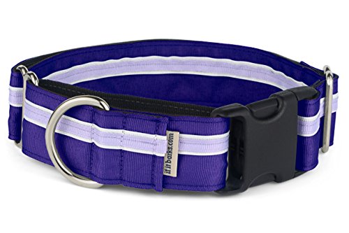 If It Barks - 1.5" Martingale Collar For Dogs - Quick Snap Release Buckle - Adjustable - Nylon - Strong And Comfy - Ideal For Training - Made In Usa - Medium, Grape Crush #TOP4