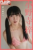 FLASHデジタル写真集　小野寺梓　夢の続きへ