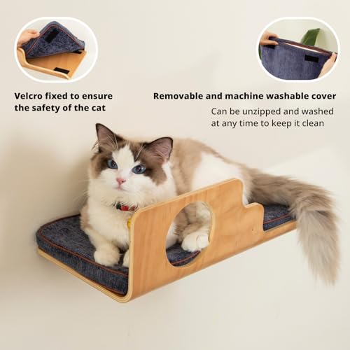 LIORCE Cat Wall Shelves with 2 Steps, Creative Design Cat Shelf with Peephole, 19 x 10 inch Cats Wall Furniture with Comfortable Pad, Cats Perch for Sleeping, Playing, and Scratching.