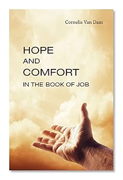 Paperback Hope and Comfort In The Book Of Job Book