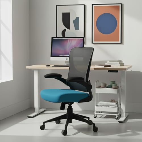 Cadeira Escritorio Ergonomica e Confortável DT3 Vita com revestimento Mesh Spandex™+Tecido Softex™, braço retrátil até 90º,Espuma Injetada, Certificada NR-17(Blue)
