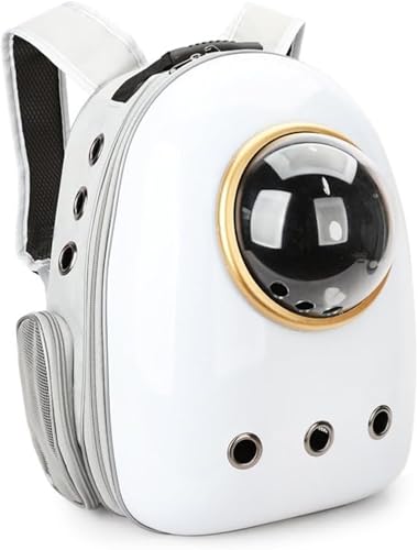 FDJvZ^ Lp lR jR  ^ P[W L obN (zCgO[)