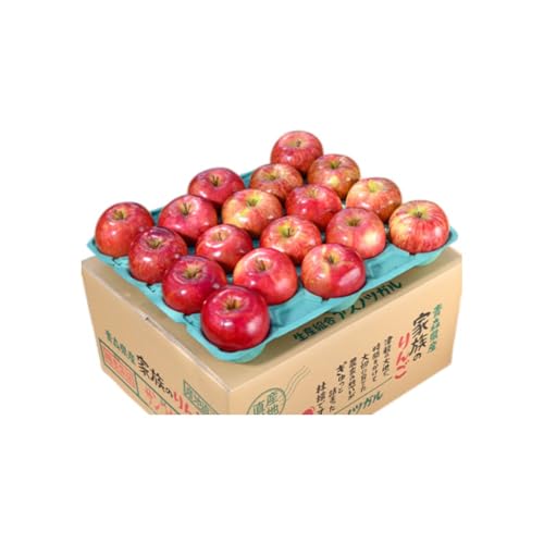 [8月クール便発送](12度糖度保証)訳あり品 家庭用 サンつがる約10kg[ 青森りんご 果物類 林檎 リンゴ 青森県産 フルーツ 旬の果物 訳アリ ]