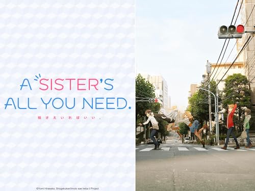  A Sister\'s All You Need.