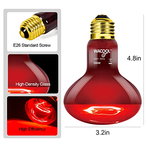 WACOOL 4 Pack Reptile Heat Lamp Bulbs,100W Infrared Basking Spot Light for Reptiles & Amphibians, Red Heat Lamp Bulb for Bearded Dragon Gecko Turtle Lizard (75, Watts)… by WACOOL TERRA - Image 2