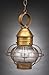 Caged Onion Hanging Antique Brass Medium Base Socket Clear Glass