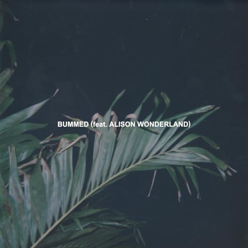 Chet Porter feat. Alison Wonderland