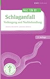 Schlaganfall: Vorbeugung und Nachbehandlung (Was tun bei) - Annette Kerckhoff, Johannes Wilkens 