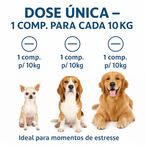 Kit com 4 Caixas Vermífugo Canex Composto para Cães 4 Comprimidos em cada caixa Multicoloridos Anti