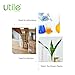 Utile 1 Pc Glass Beaker, Vol.5000ml Beakers, Glass Beaker with Double Scale Printed Graduation, 4000.5000.1-X