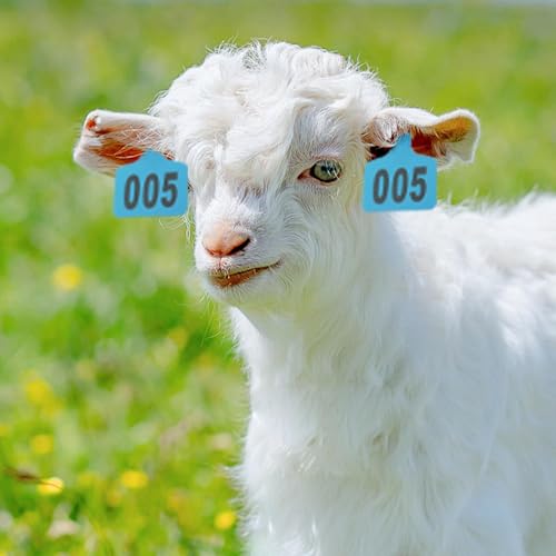 Étiquettes pour animaux de ferme de qualité supérieure pour programme caprin