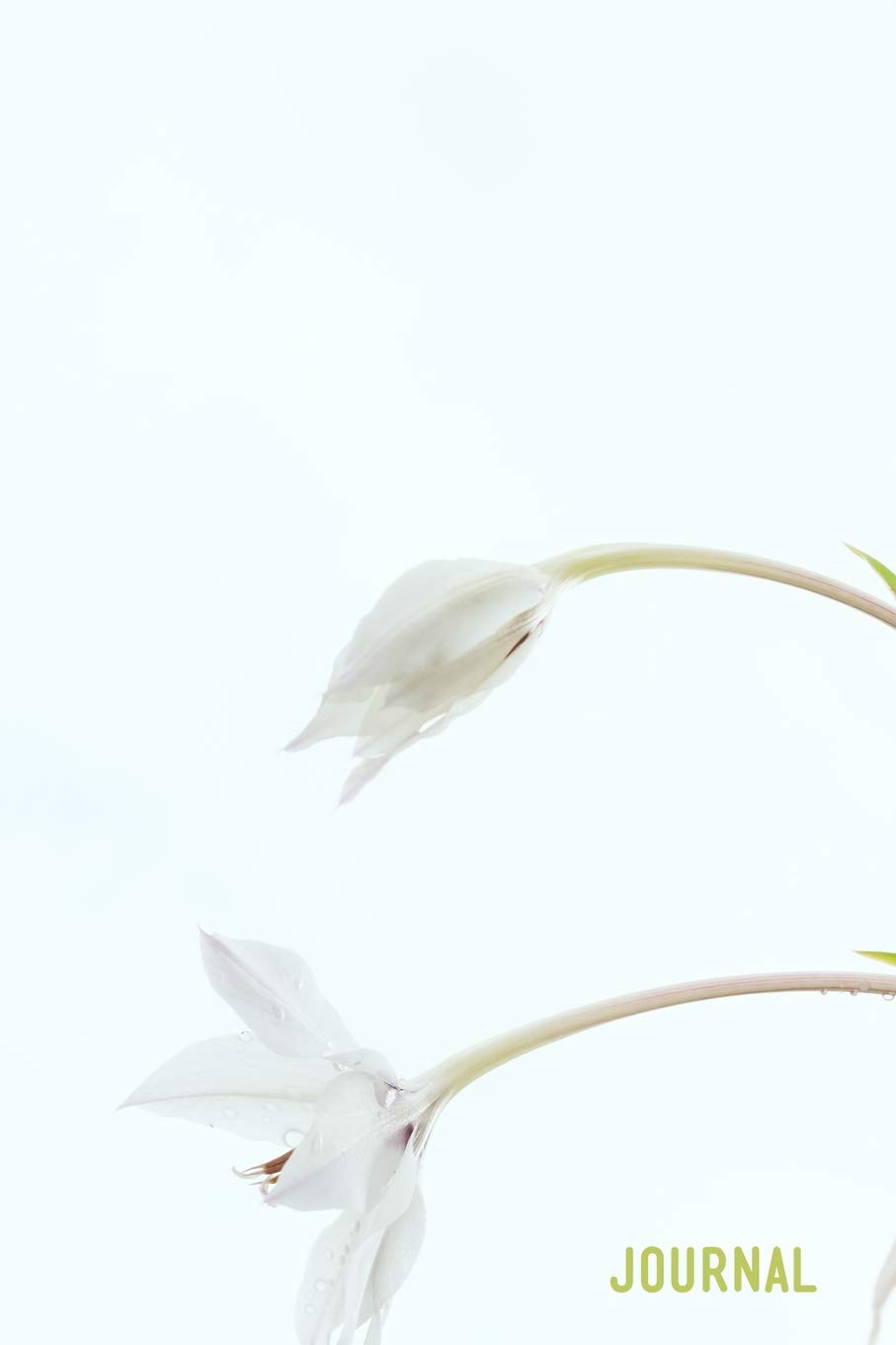 Journal: A calming dairy for Dementia and Alzheimers patients | Wide lined for elderly convenience