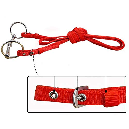 Riendas de hípica con cabestro de cuerda resistente para caballo 7