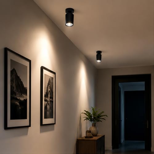 Image of Goldmedal Bibo 7W LED Surface Spotlight | Focus Light |Warm White (3000K)| Adjustable Base | with 36Beam Angle | for Kitchen,Living Room & Malls | Up to 70 Lumens Per Watt | Body Colour:Black