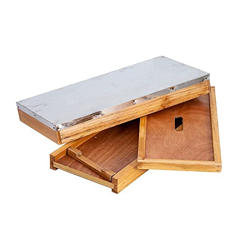 Colmenas de abeja de 5 marcos nuc kit con hojas de base plástica 7