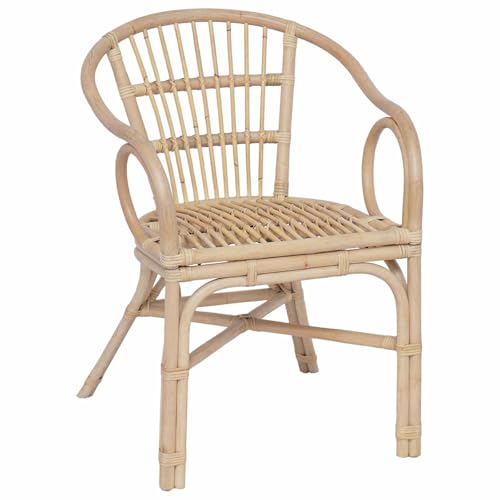 vidaXL Chaise empilable Naturel 58 x 60 x 81 cm Rotin, Fauteuil Moderne, mobilier Compact, Design Minimaliste, Assise intérieure, sièges élégants, Finition...