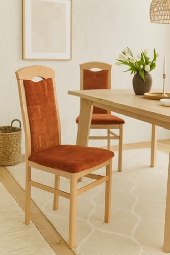 moebel direkt online Esszimmerstuhl (2 Stück) Massivholzstuhl Buche/rot
