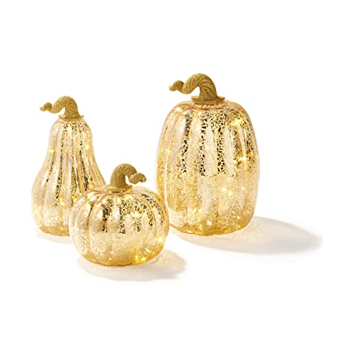 Best Glass Pumpkins With Lights To Brighten Up Your Harvest Season